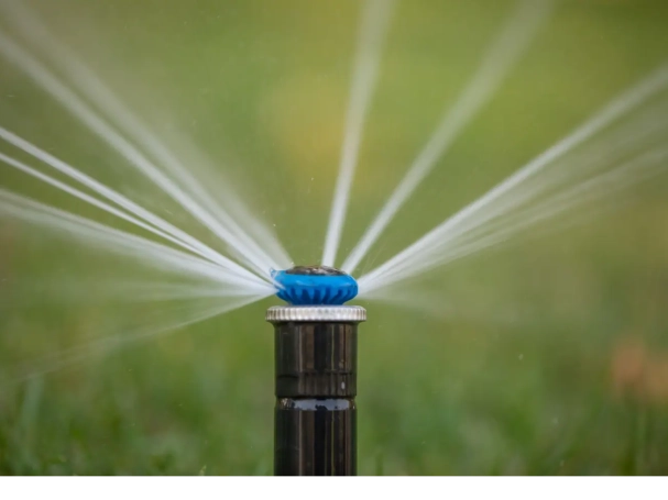 autumn-forest-with-bright-colorful-trees-top-view-natural-background-texture